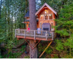 The Treehouse Crew