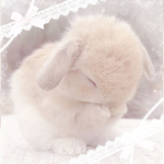 fluffle emotes