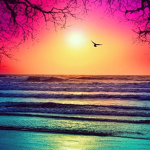 ~Pacific Ocean~