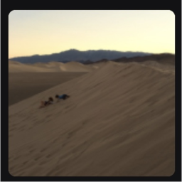 race and off road in sand dunes