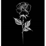 Black Rosê Clothing