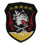 陇西军区 特种部队