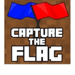 Capture The Flag (NEW)
