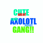 The cute axolotl gang