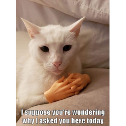 Escape the killer memez