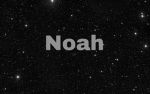 Noahs Fans Group