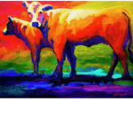 ColorfulCows