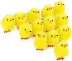 chick clan (only some people can join)
