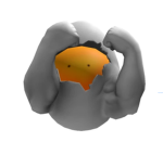 Strongest eggs