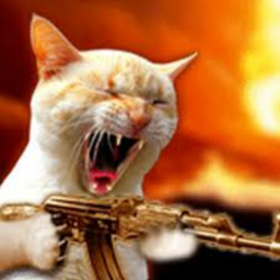 silly cat game [MOVED PLACES] icon