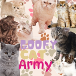Goofy cat army