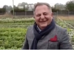 PAPRYKI I KOPERKI MAKŁOWICZA