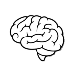Brain !!!
