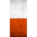 Roblox group Poland