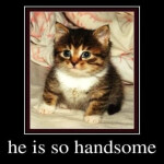 10 Days of 3D Models