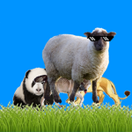 Group Thumbnail