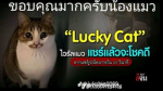 กองทัพบกV.2