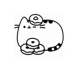 Bobux lol