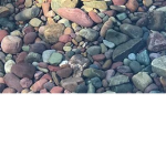 rock colluectors