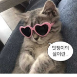 아인의 이벤트 그룹
