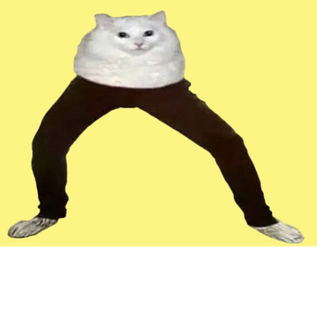a obby