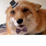 clips funny group