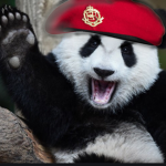 Boom Boom panda army