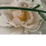 Little-Roses!