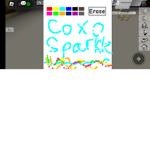 Co xo Sparkle Fans!