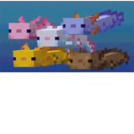 Axolotl group world