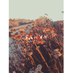 FANXY