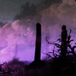 ─── ⋆ ⋅ ❍ ⋅ ⋆ ───