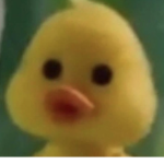 0508