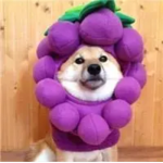 Give me robux for korblox and you get a hug