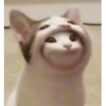 D._ino