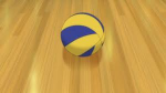 Volley!!