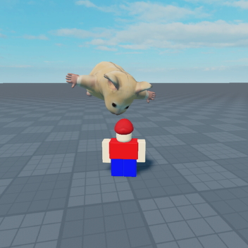 watch this hamster move simulator