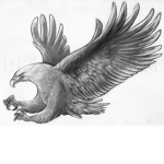 Forever Eagles [Eagles United]