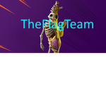 TheFlagTeam house