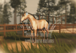 2 Barn Farm. | Strideway