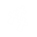 NANO WORLDWIDE