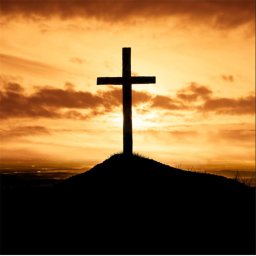 The Church Of Nox