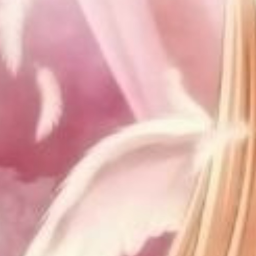 ˚