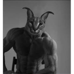 the cat ez