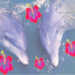 ❥︎ 𝐒𝐔𝐌𝐌𝐄𝐑 𝐆𝐘𝐀𝐑𝐔 ❤︎