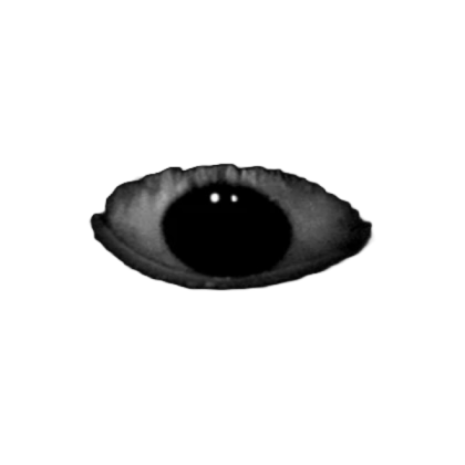 horror dark eyes no background Roblox decal