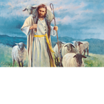 Shepherd Family Syndicate