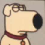 Brian griffin land
