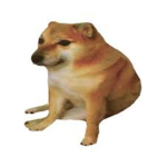 Yellow Dog Studios
