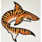 Tigershark studios